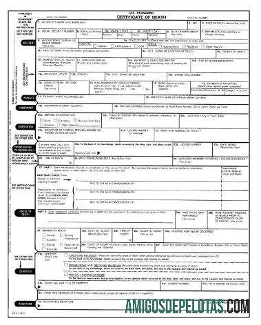 Certidão de Óbito do Registro Geral dos EUA baixar para verificação